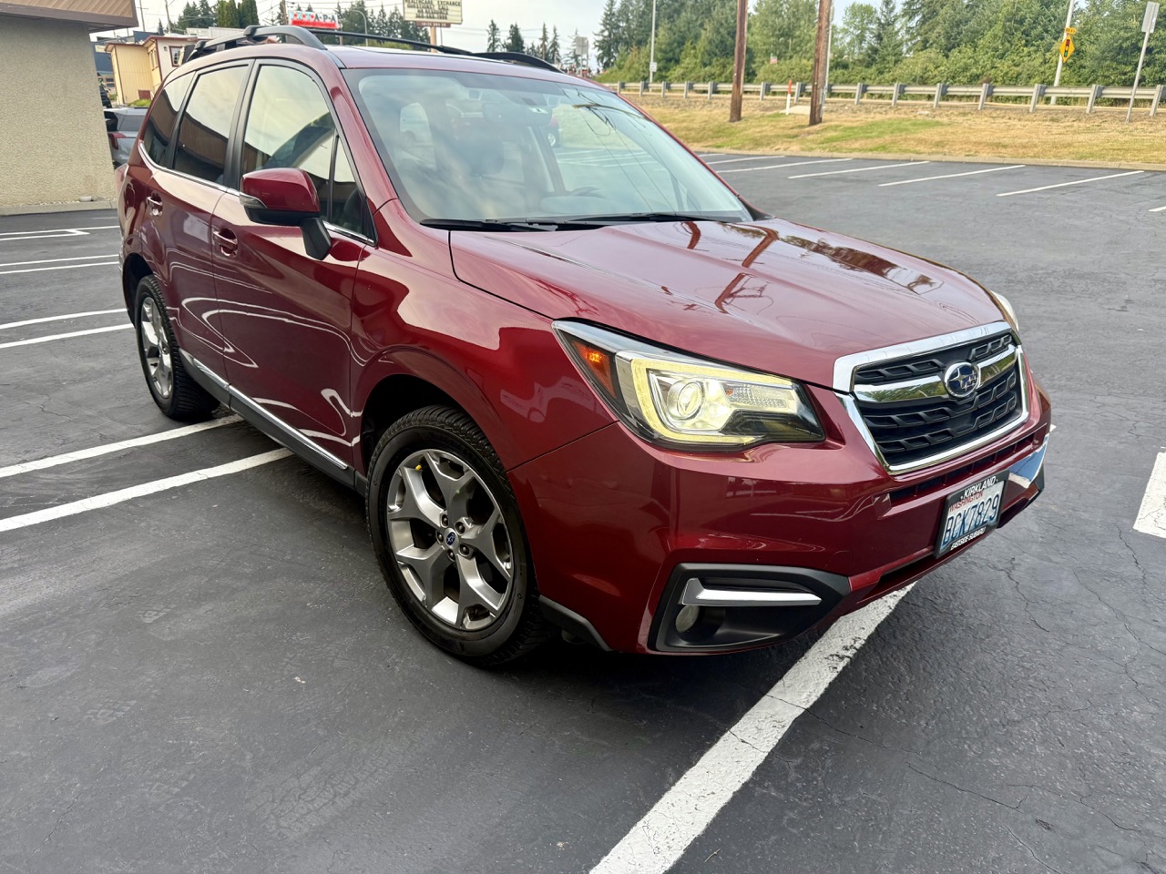 Forester 1
